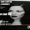Deep Sea Cosmonuats - In Came You (Bklyn Hit Squad Mixes) [feat. Acantha Lang] - Single
